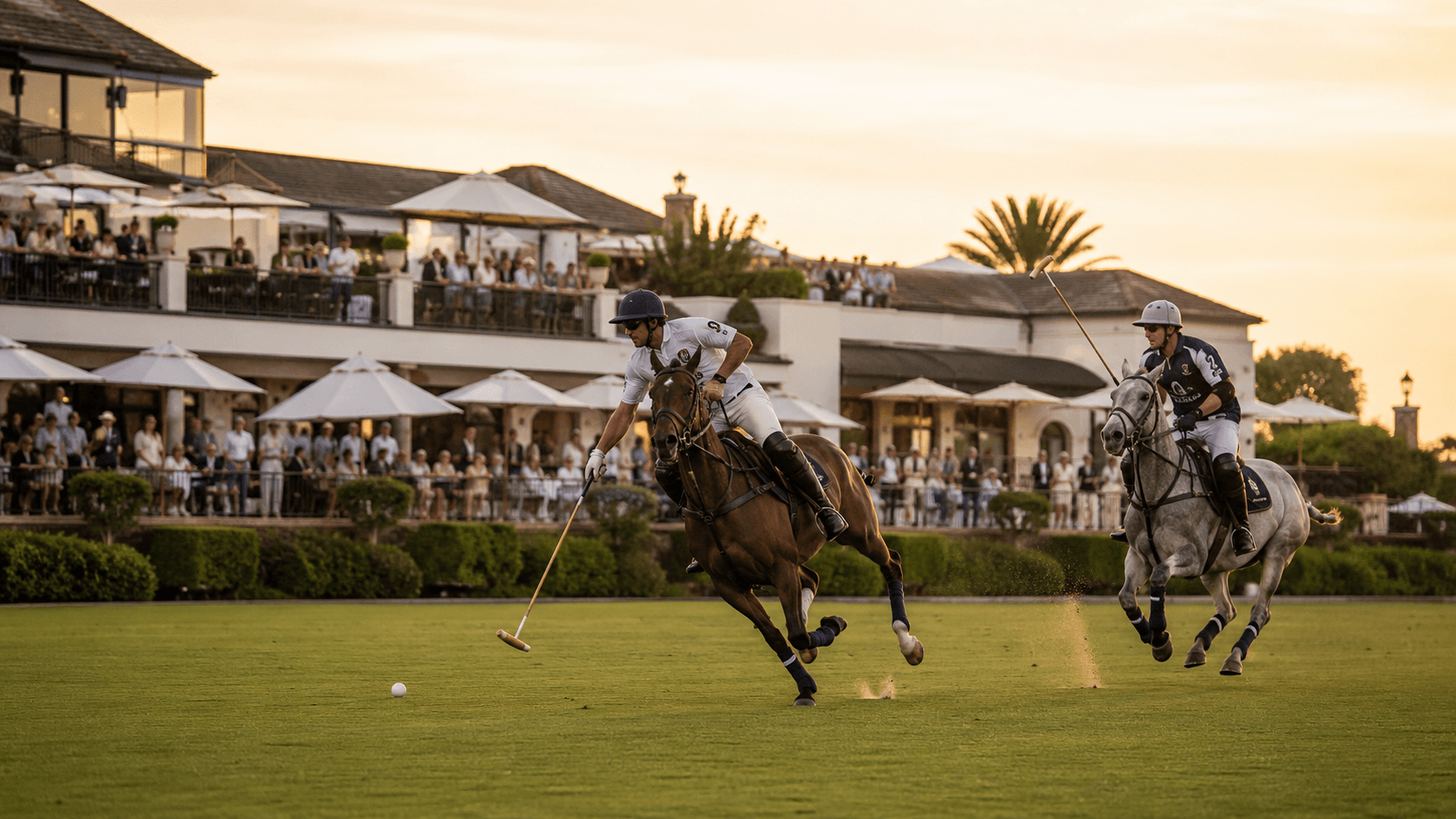 Polo – luxusní sportovní zážitek