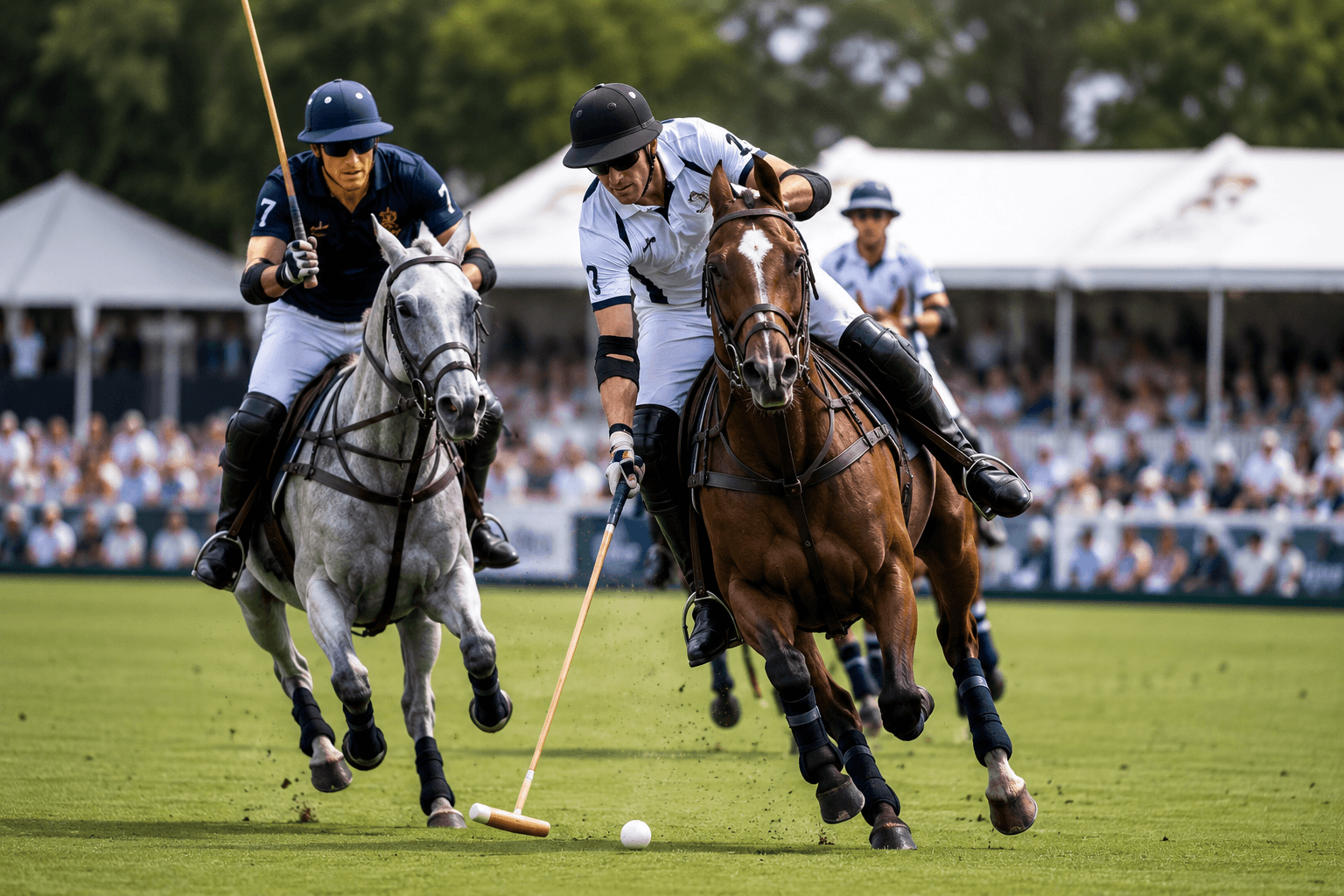 Polo VIP