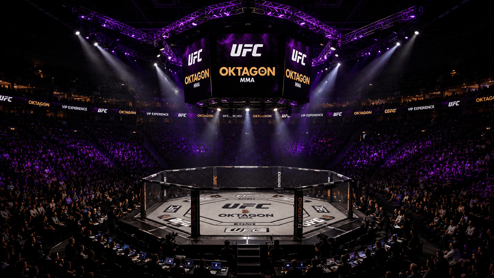 UFC – bojové sporty
