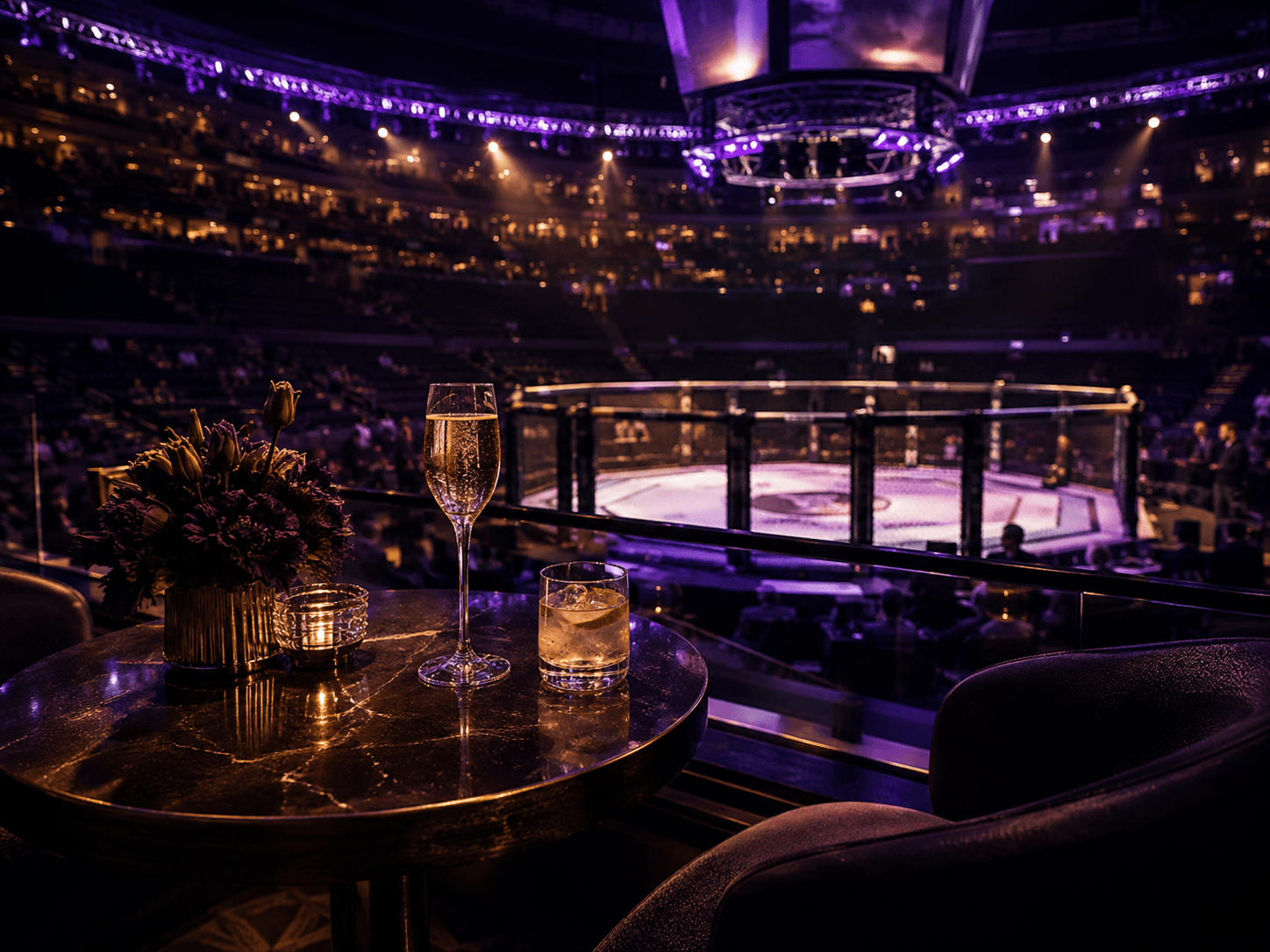 VIP hospitality – bojové sporty